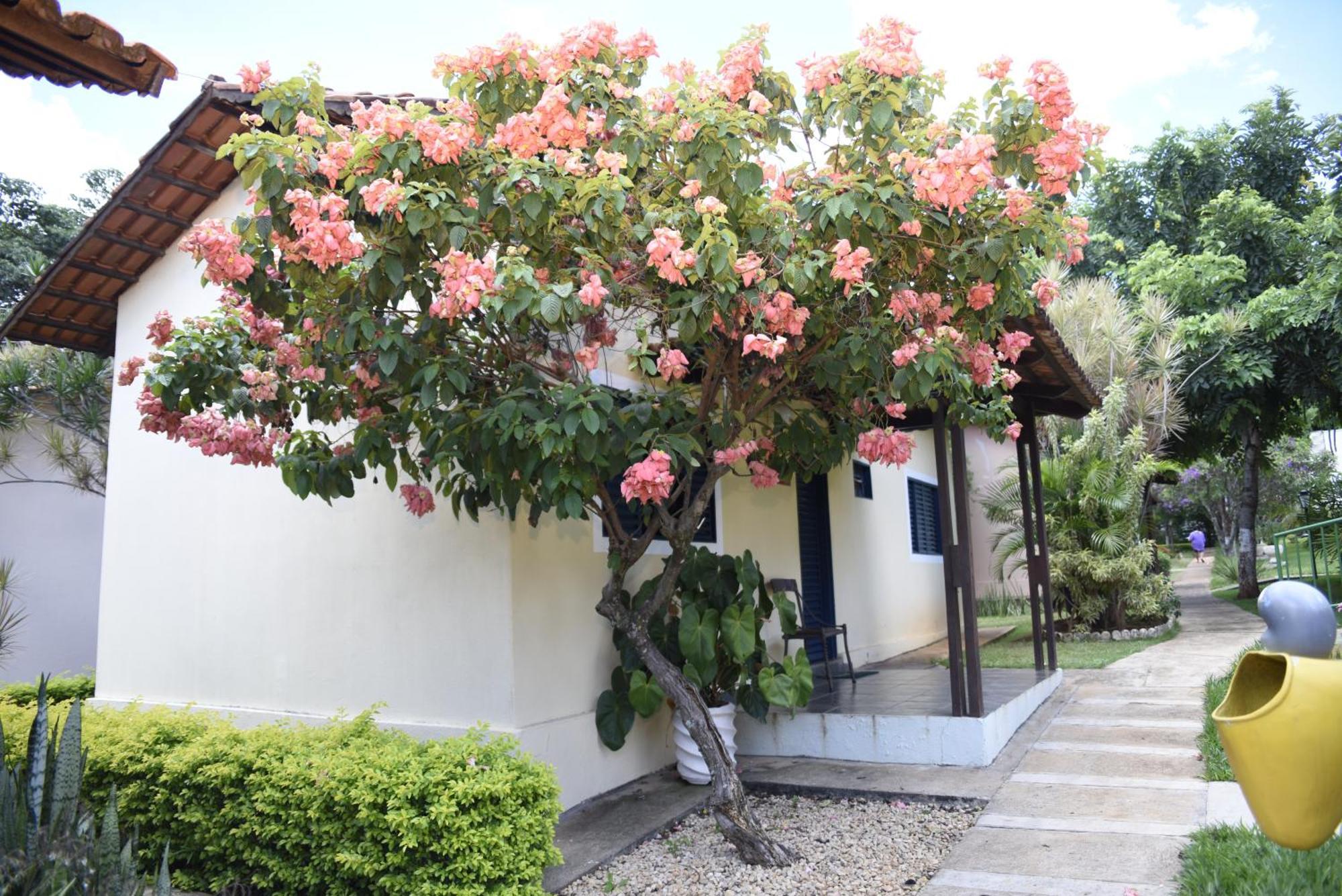 Rosa Spa e Hotel Aparecida de Goiânia Esterno foto